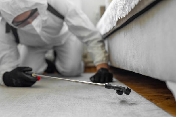 Professional Pest Control technician working in South Eliot, ME