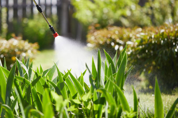 24/7 Emergency Termite Control experts in South Eliot, ME