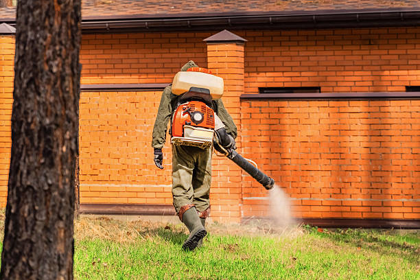 Trusted Cockroach Control service in South Eliot, ME - Nex Pest Control